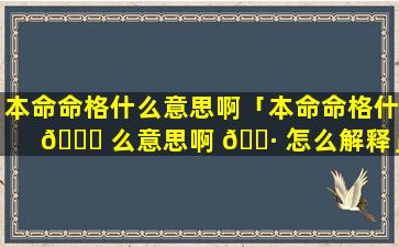 本命命格什么意思啊「本命命格什 🍁 么意思啊 🌷 怎么解释」